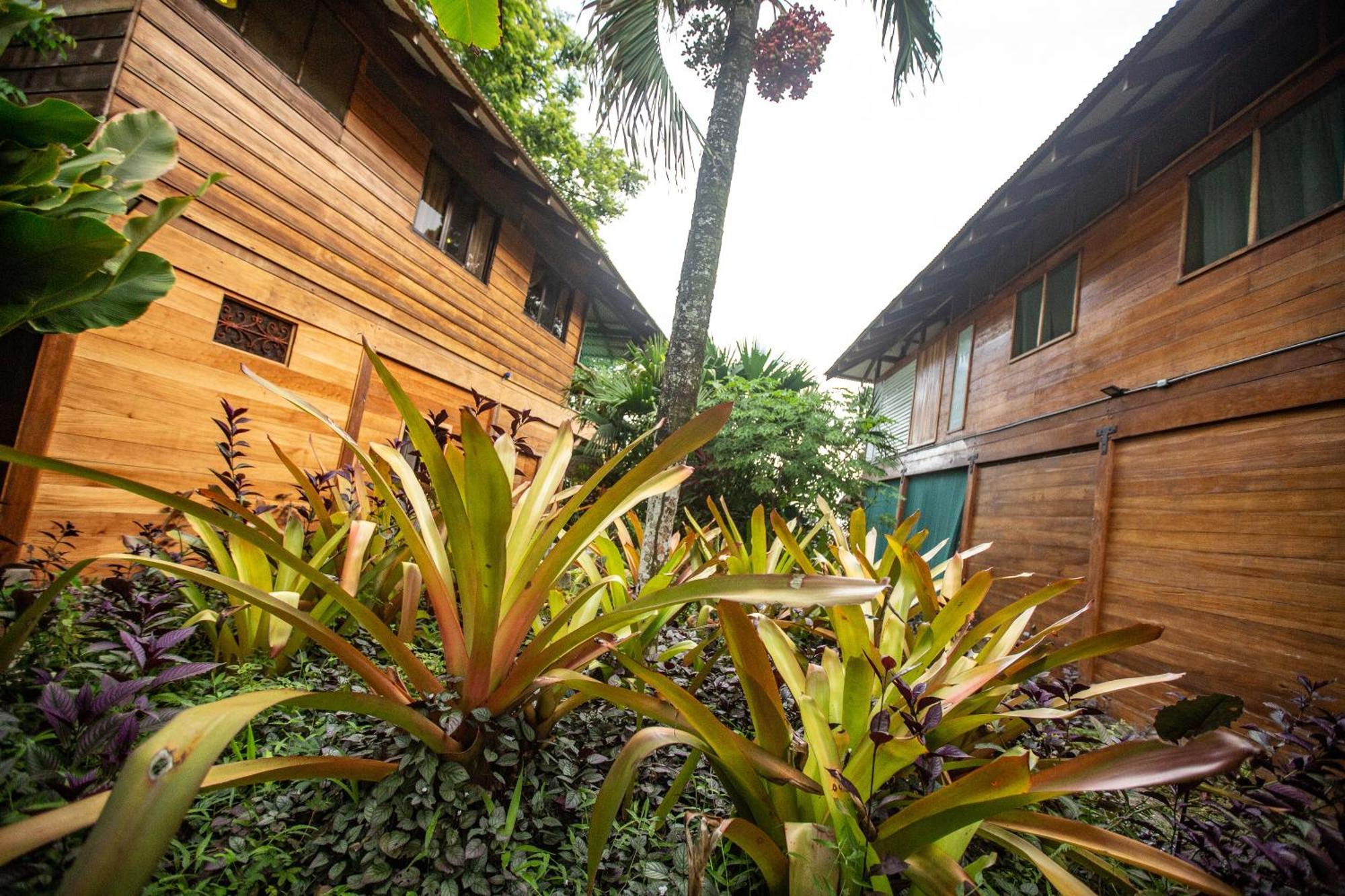 Villas Serenidad Puerto Viejo de Talamanca Экстерьер фото